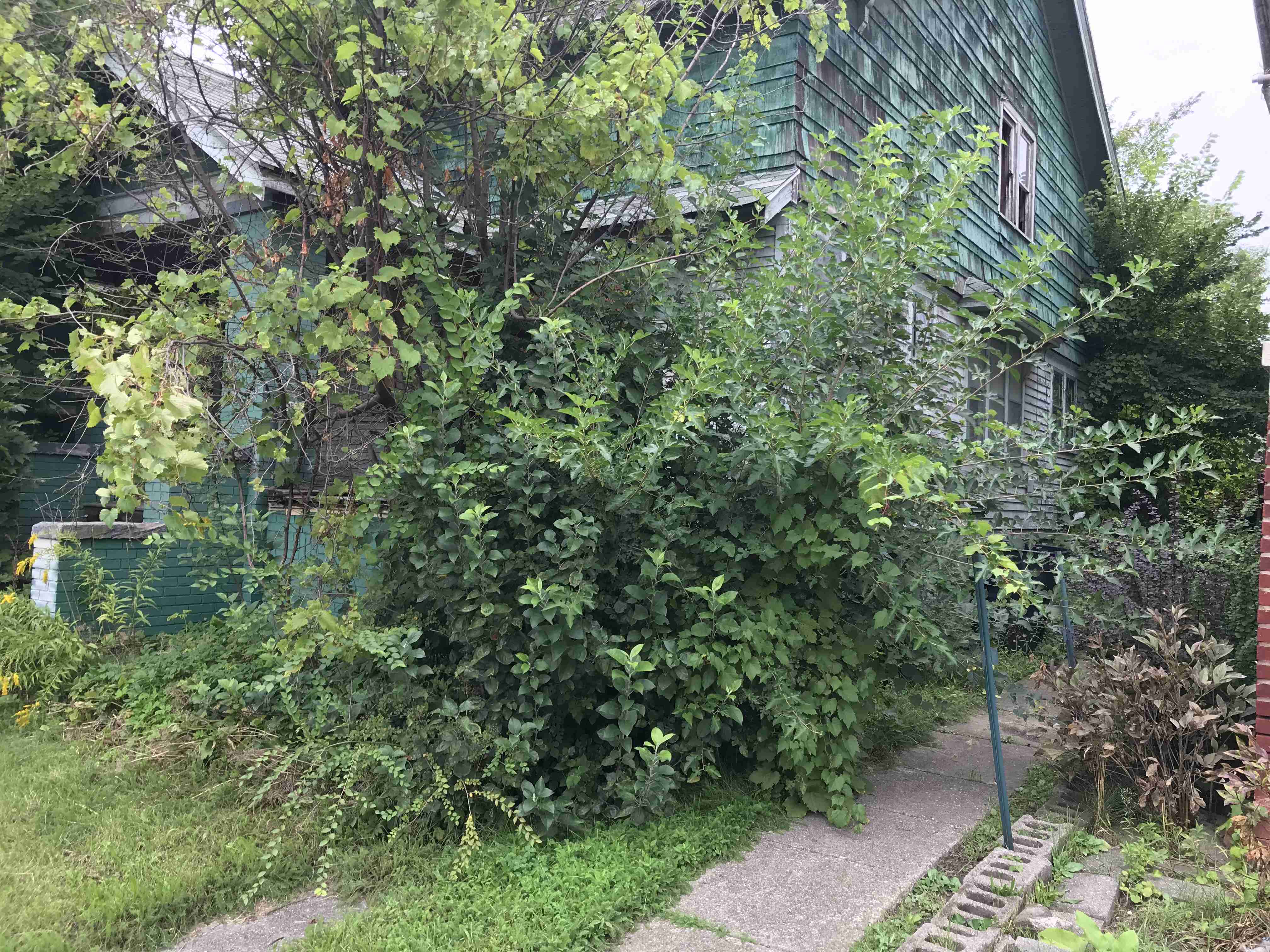 Photo Sep 10, 1 04 13 PM (1).jpg